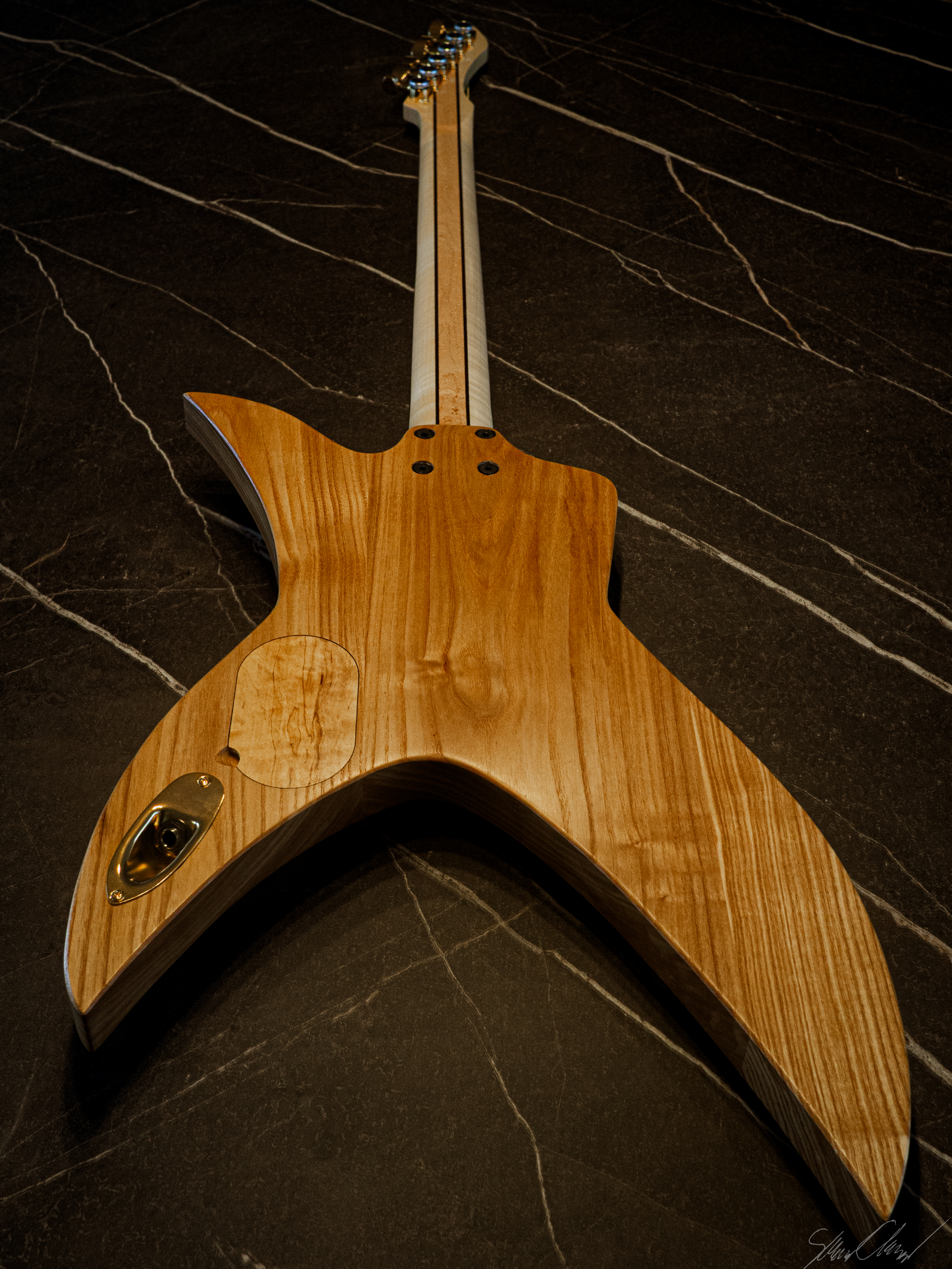 Back view